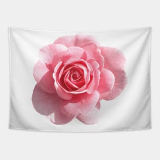 Pink Roses Tapestry