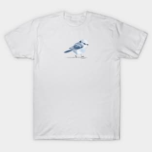 Men's Bird Shirt Winter Birds T Shirt Cardinal Blue Jay Woodpecker