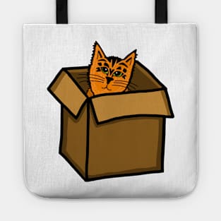 Orange Tabby Cat Hiding in a Cardboard Box Tote