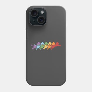 Rainbow Cat Jump Phone Case