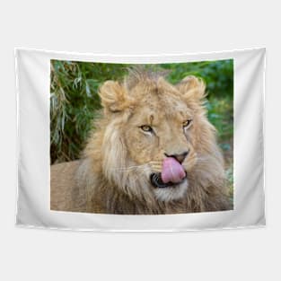 31915 lion Tapestry