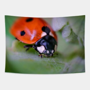 A Happy Little Ladybug, Macro Photograph Tapestry