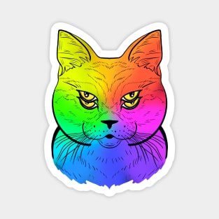 The Color Spectrum Cat Magnet