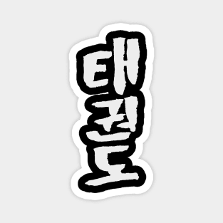 Taekwondo Magnet