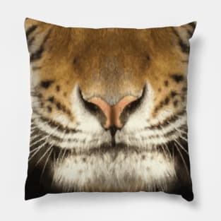 Tiger   Covid Mask Pillow