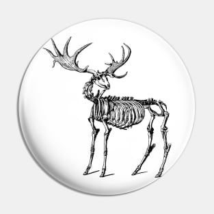 Megaloceros, Ancient Irish Deer Pin