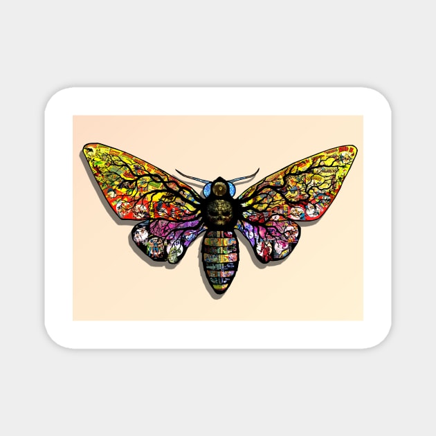 Death Head Moth Magnet by BLZBob