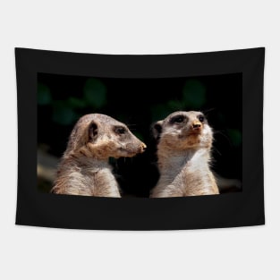 Meerkats Tapestry