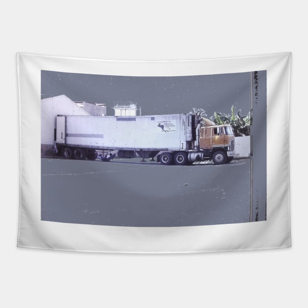 Nap 2 in the shadow of a semi truck Guatemala 1991 Tapestry by Roland69