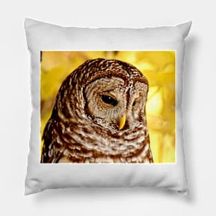 Barred Owl Pillow