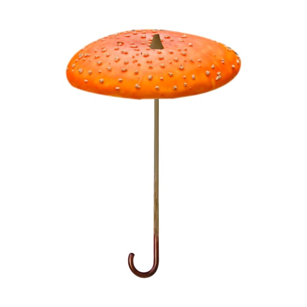 Mushroom-umbrella by igorkalatay