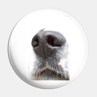 A Dog&#39;s Nose Always Knows Pin