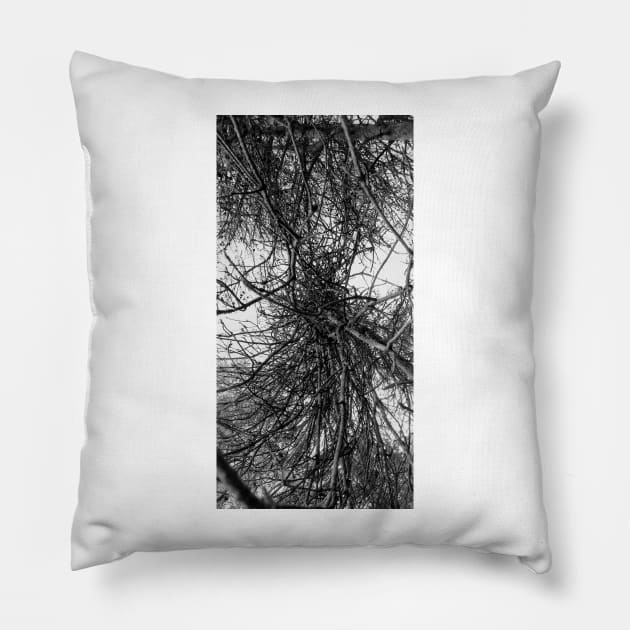 Circuitry Cont'd Pillow by amararob