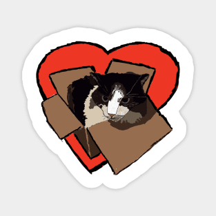 Box Cat Heart Magnet