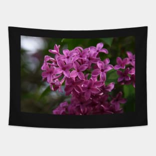 Lilacs Tapestry