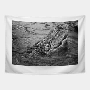 Emerging Gator black and white Tapestry