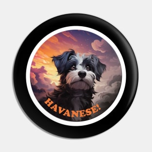 Havanese Pin