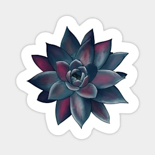 Colorful Succulent - Magenta and Gray Blue Magnet