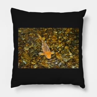 Koi Fish Pillow