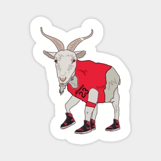 GOATS (Airness) Magnet