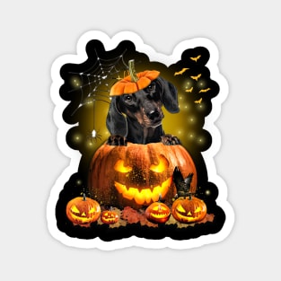 Black Dachshund Spooky Halloween Pumpkin Dog Head Magnet