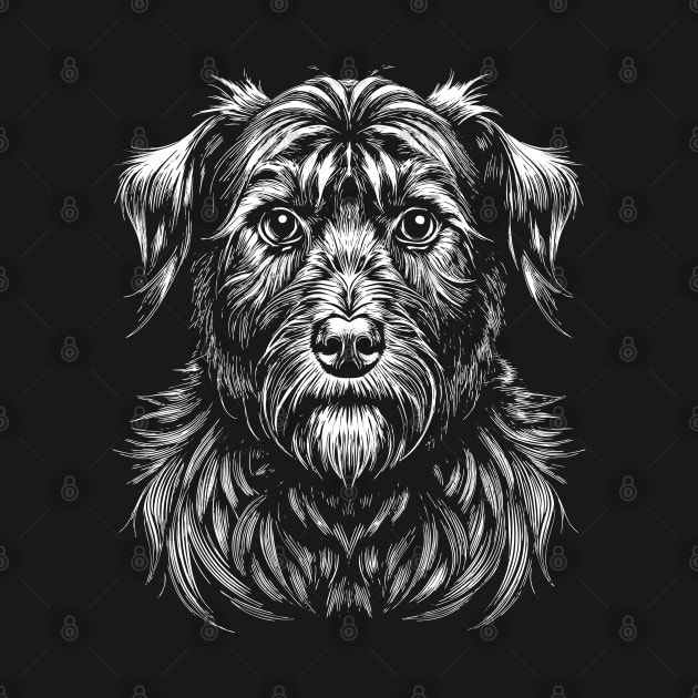 Affenpinscher dog portrait black and white affie art by Ravenglow