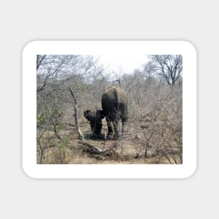 My African Safari - Elephant mom and baby in the Bush Magnet