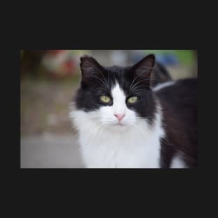 black and white cat T-Shirt