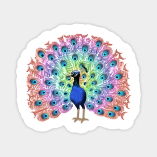 Colorful Peacock Magnet