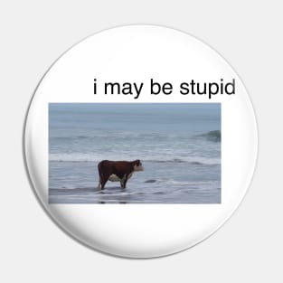 I May Be Stupid shirt | meme T-shirt, funny shirt, gag shirts Pin