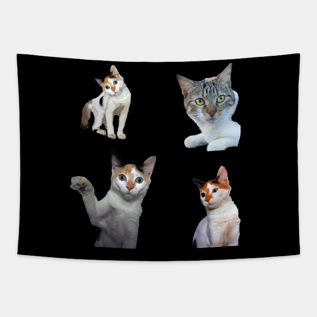 cat kitty sticker Tapestry by rickylabellevie