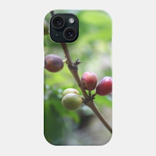 Coffe seeds Phone Case