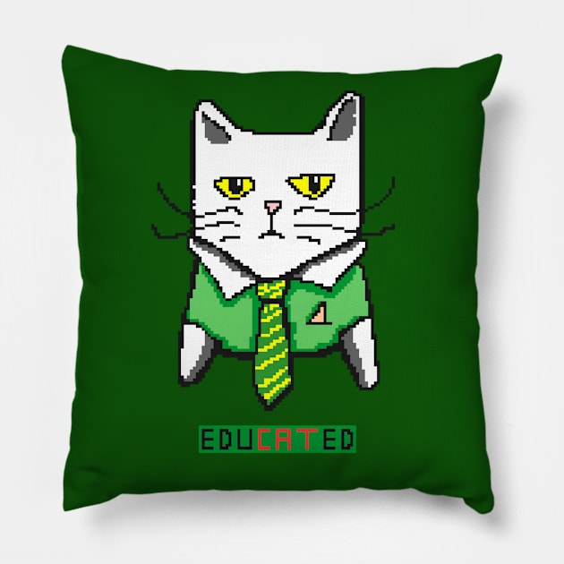 Educated Pillow by Yeaha