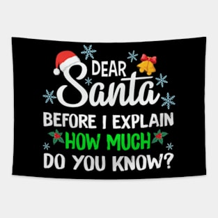 Funny Christmas Shirts Kids Adults Dear Santa Before How Much Do You Know Christmas Gift Tapestry