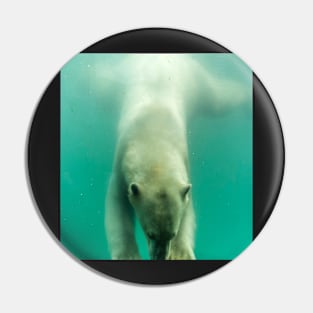 Polar bear swimming under water Pin