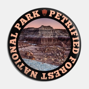 Petrified Forest National Park circle Pin