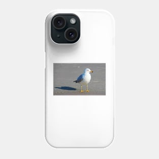 Seagull And His Shadow Phone Case