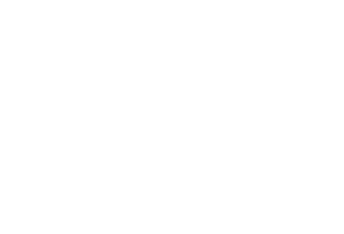 Ballet Magnet