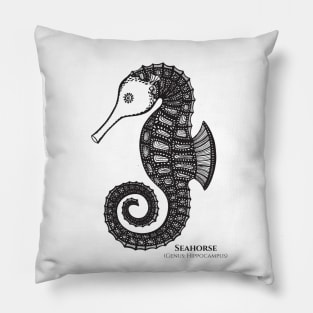 Seahorse with Common and Latin Names - seahorse drawing - animal design Pillow