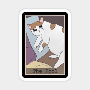 The fool Magnet