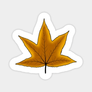 Fall maple leaf classic in Autumn Season Magnet