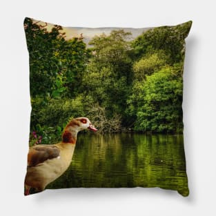 Egyptian Goose Pillow