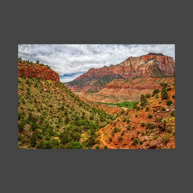 97841  Watchman Trail View Zion National Park by Gestalt Imagery