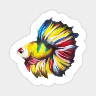 Colourful Betta fish Magnet