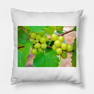 Grapes Pillow