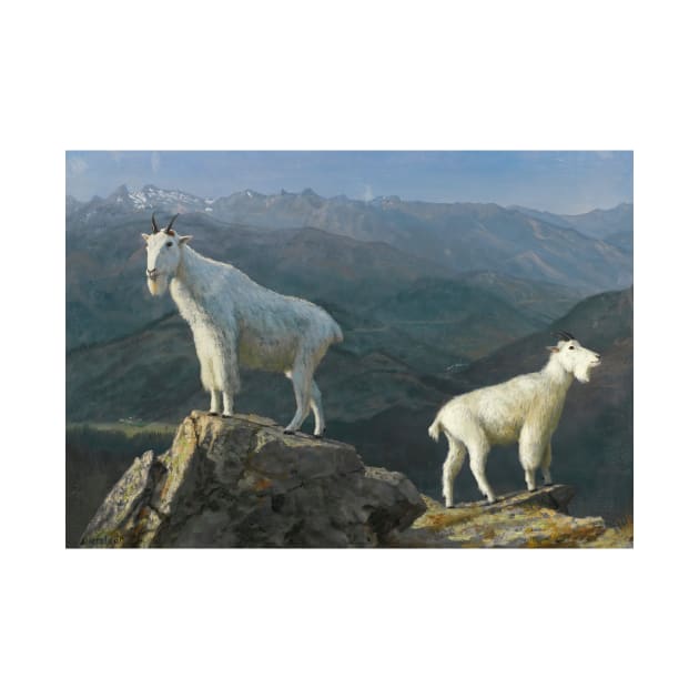 Mountain Goats by Albert Bierstadt by Classic Art Stall