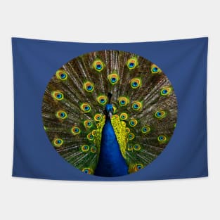 Colorful peacock Tapestry