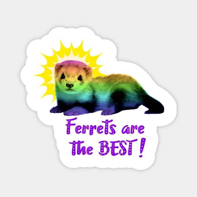 Ferrets Are The Best! Magnet by CeeGunn