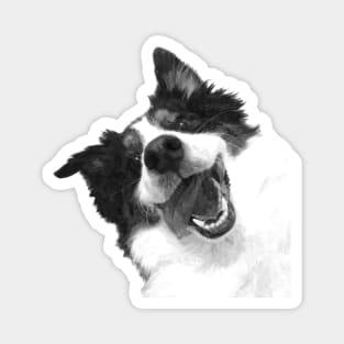 Black and White Happy Dog Magnet