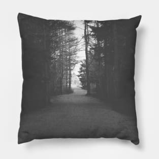 From Darkness to Light, Forest Trail V4 Pillow